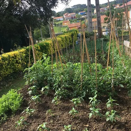 Casa Amalia Gæstehus 3*